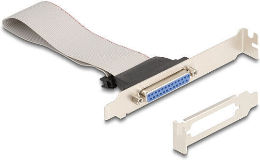DeLock Κάρτα σε θύρα Mini PCIe