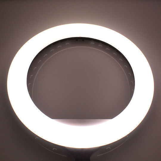 Ring Light 36cm with Floor Tripod and Mobile Phone Holder