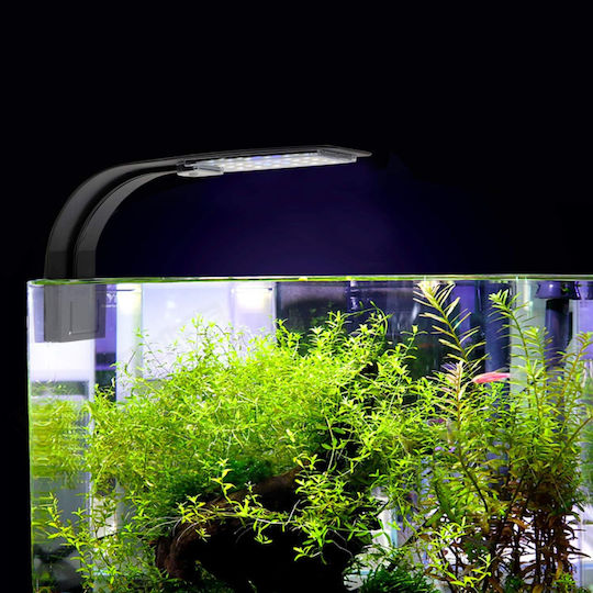 Διακοσμητικό Φωτιστικό LED 7000K