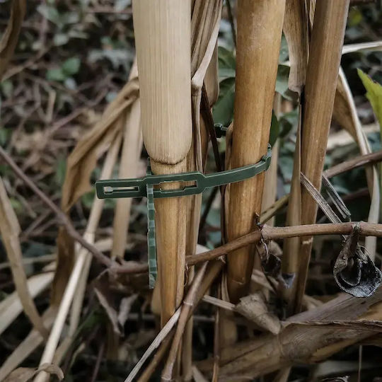 Set 100 Legături pentru Plante Zola Reutilizabile Reglabile Suport de Legare Rezistent la Vreme 23 Cm