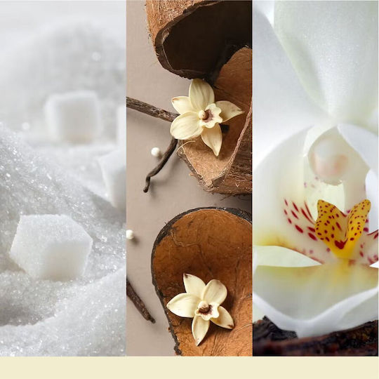 Vanilla Flurries Yankee Candle Signature Scented Tumbler Candle 1 Wick New 2025 Vanilla Flurries Yankee Candle Signature Scented Tumbler Candle 1 Wick New 2025