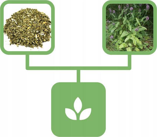 Buffalo Herb 1 Kg Natural Shop