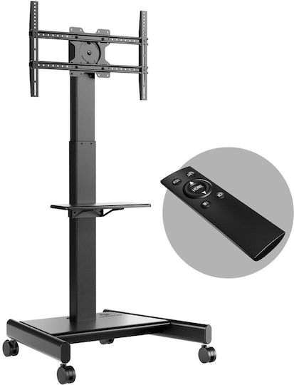 Onkron TV-Halterung Boden bis 75" und 70kg Schwarz