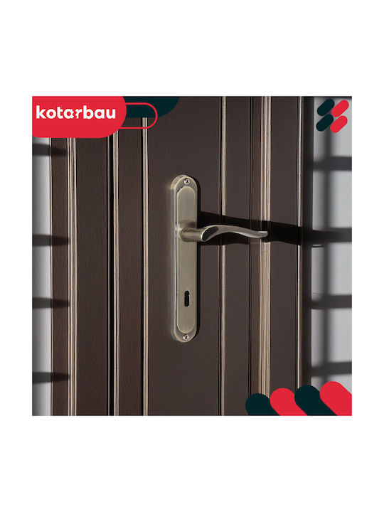 Kotarbau Buton WC Cu Placă Bronz