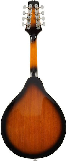 Soundsation BMA-60 VS Acoustic Mandolin