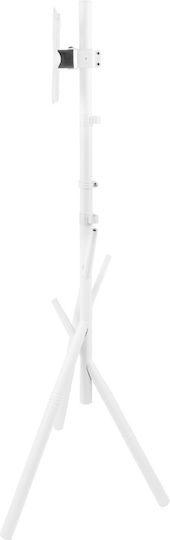 Maclean Energy MC-181 W Βάση Τηλεόρασης Δαπέδου έως 55" και 60kg Λευκό