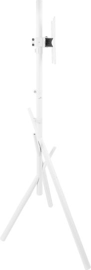 Maclean Energy MC-181 W Βάση Τηλεόρασης Δαπέδου έως 55" και 60kg Λευκό