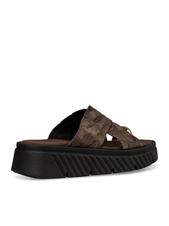 Shoelover