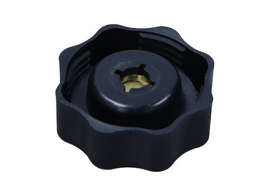 Capac Recipient de Expansiune Mini Cooper S One D 02-07 17107515499