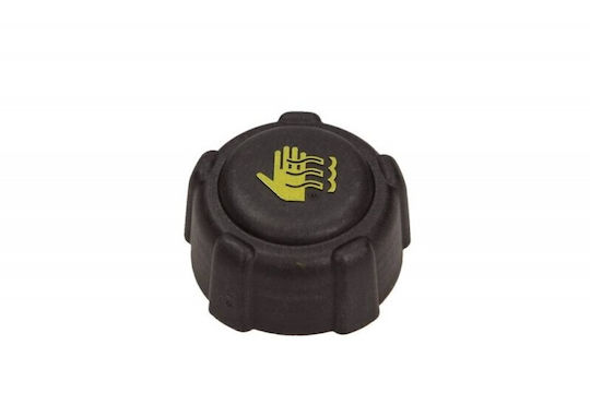 Renault Rc223 Wasserreservoir Abdeckung