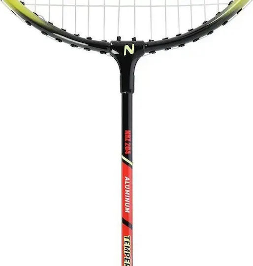 Nils Set Badminton