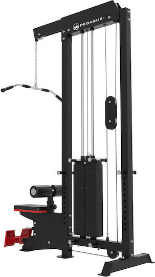Pegasus Exercise Multi-Gym without Weights