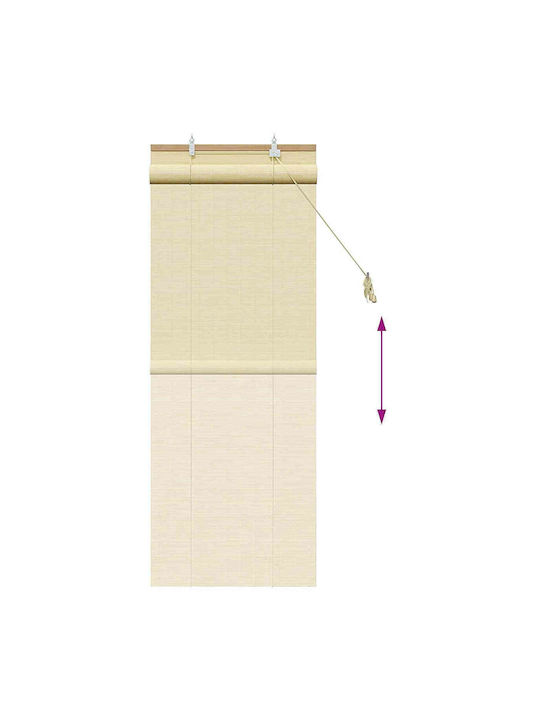vidaXL Bamboo Blind in Beige Colour W40xH160cm