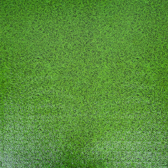 inSPORTline Puzzle Gym Mat Green 100x100x2cm 1pc