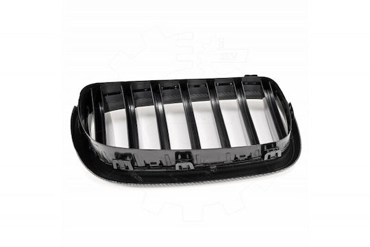 SKV BMW X5 (F15) Auto Dekorative Maske
