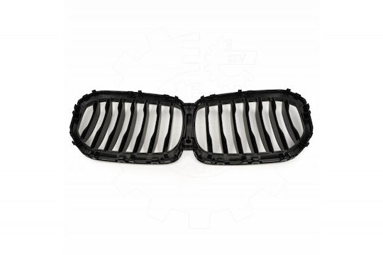 SKV Decorative Car Mask BMW X5 (G05)