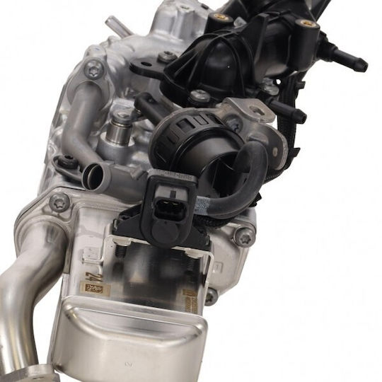 Fiat Car Water Radiator for Fiat Ducato