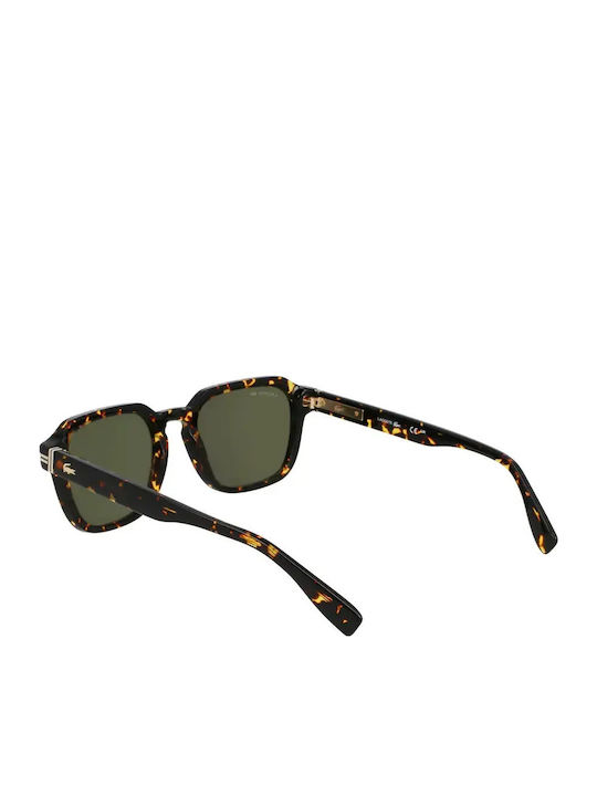 Lacoste Men's Sunglasses with Brown Tartaruga Frame and Brown Lens L6046SN-230