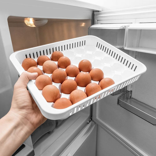 Orion Eierfächer Kühlschrank-Organisatoren für 30 Eier 33x27x7cm