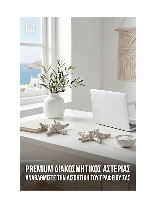 Starfish Διακοσμητικός Νίκελ Αστερίας 13,5 Εκ Ασημί Starfish Διακοσμητικός Νίκελ Αστερίας 13,5 Εκ Ασημί