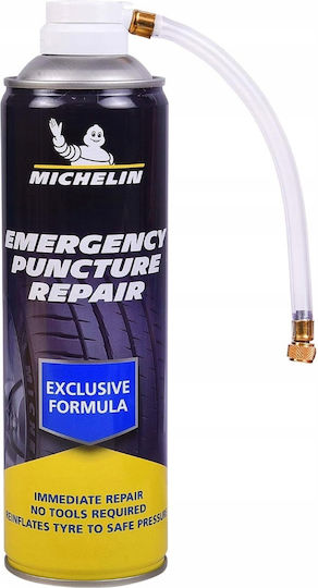 Michelin W32699