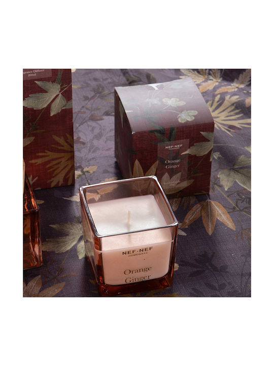 Aromatische Kerze Orange Ingwer 200g Bordeaux Nef-nef Homeware