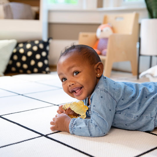 Ingenuity Cool Bite Bomby Teething Toy