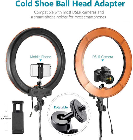 Ring Light