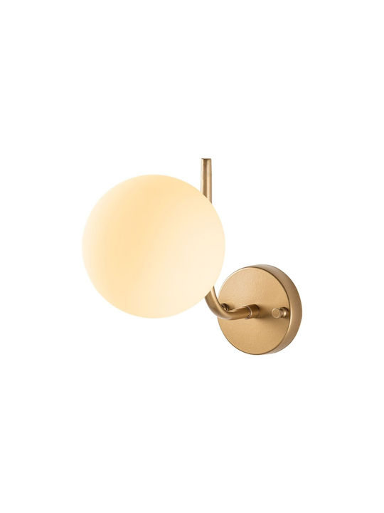 Opviq Antler Wall Lamp with E14 Socket Gold 15cm