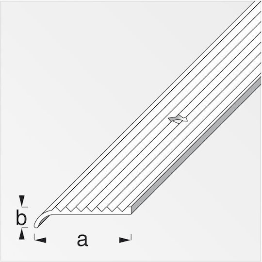 Alfer Aluminium Profile Aluminum for Carpets 100x2.5x6cm