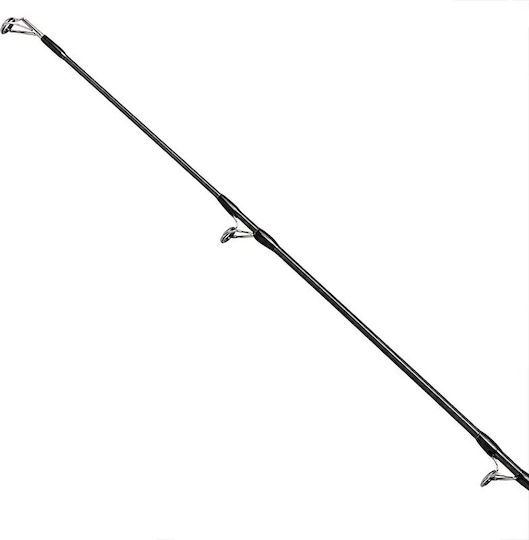 Slash Coast Thief Angelrute für Schweres Spinnfischen / Shore Jigging 2,81m 20-60g