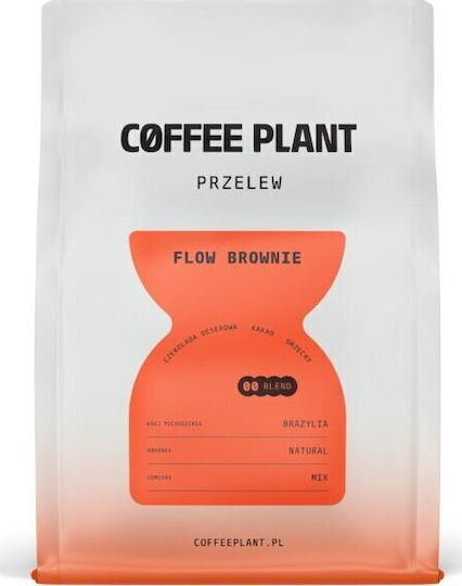 Coffee Plant Cafea Filtru Arabica Boabe 250gr