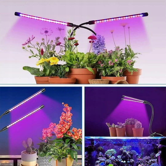 Растежна светлина с LED
