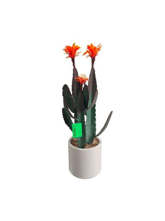 Cactus 80cm Supergreens
