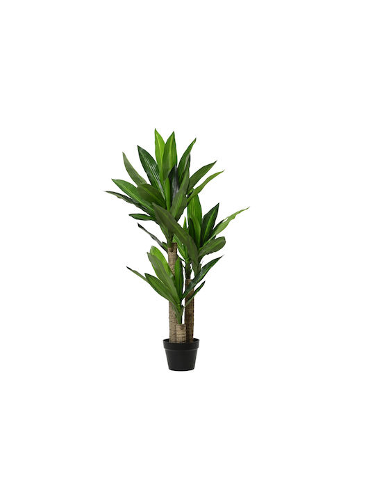 Δράκαινα Εξωτερικού Χώρου 105cm Kaemingk