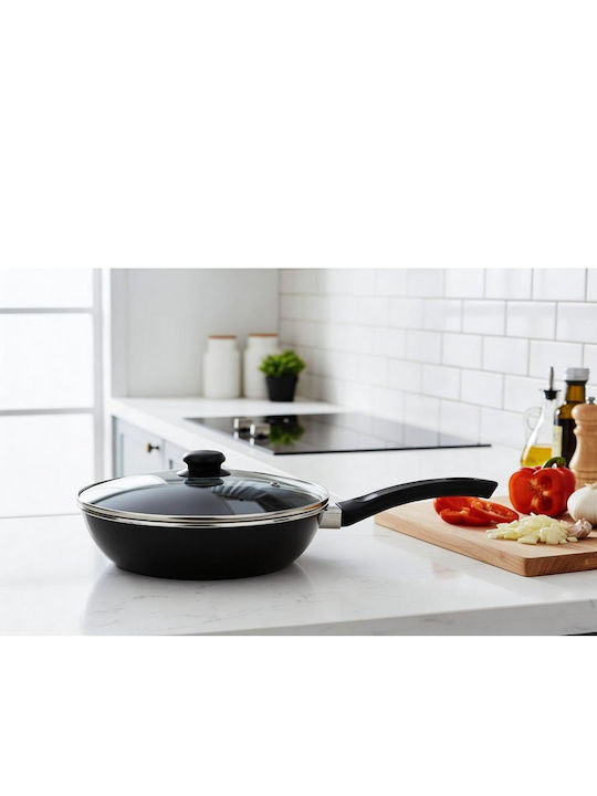 Max Home Aluminum Pan with Lid with Enamel Coating