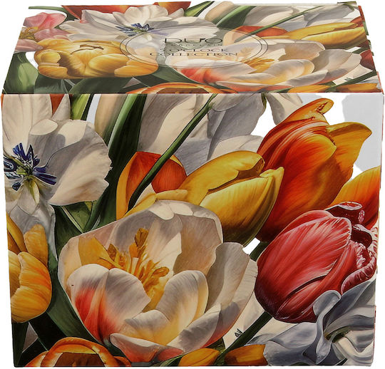 Cană Ceramică