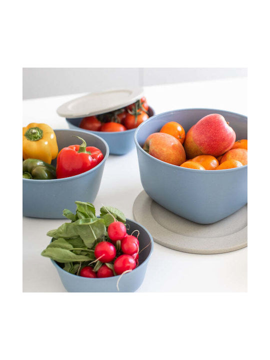 Koziol Microwave Plastic Lunch Box Blue 700ml