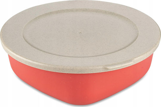 Koziol Mittagsboxen 1.3lt