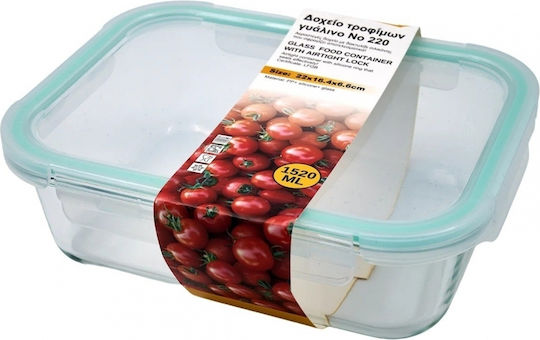 Sidirela Glass Lunch Box Green 1020ml