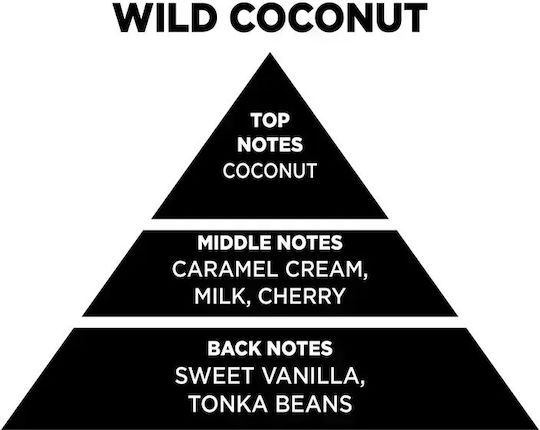 Wax Melt Bar Wild Coconut 55gr Χειροποίητη Αρωματική Μπάρα Σόγιας