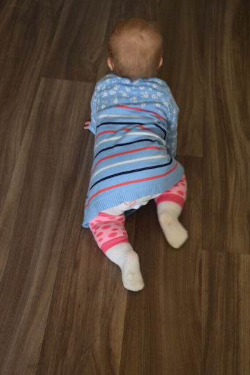 Dribble Ons Zebra Stripe Επιγονατίδα Μπουσουλήματος από Ύφασμα σε Μπλε Χρώμα