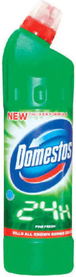 Domestos Pine Χλωρίνη σε Υγρή Μορφή με Άρωμα Πεύκο 750ml