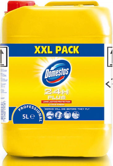 Domestos Επαγγελματική Χλωρίνη σε Gel με Άρωμα Citrus Fresh 5lt