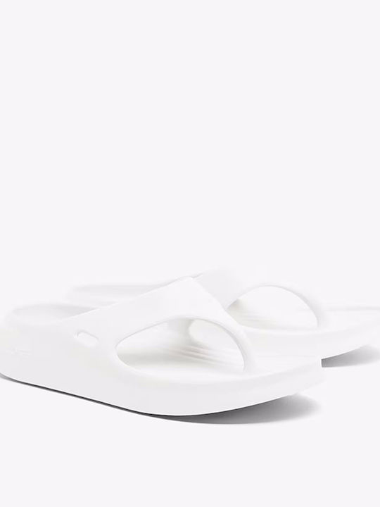 Lacoste Σαγιονάρες Λευκές