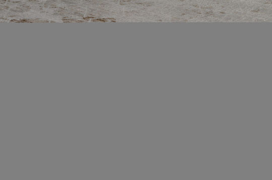 Tzikas Carpets Beyond Χαλί Ορθογώνιο Μπεζ 67x53cm