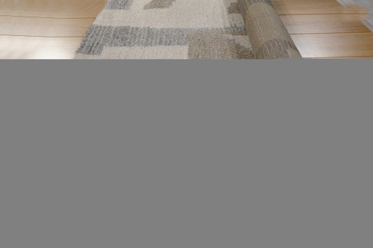 Tzikas Carpets 73604 Rug Rectangular Beige