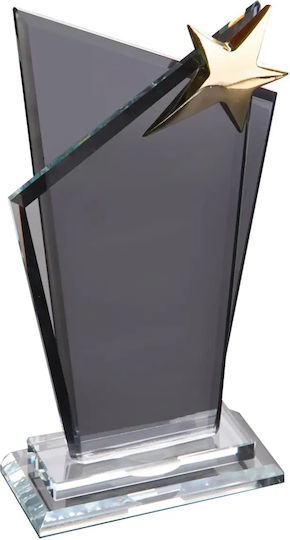 Crystal Double Award 14x25cm Star Code Pb-601 Dark Grey