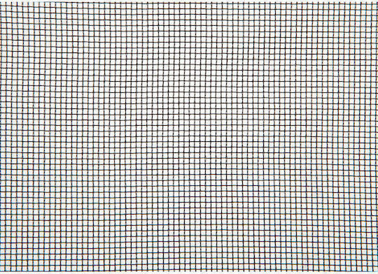 Windhager Мрежа Врата 300x150см Windhager Мрежа Врата 300x150см