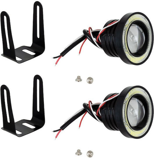 Motoflood Led Spotlight 30w/60w 3200lm/6400lm 45° Dc 12v Waterproof Ip65 Cool White 6000k Cree Cob